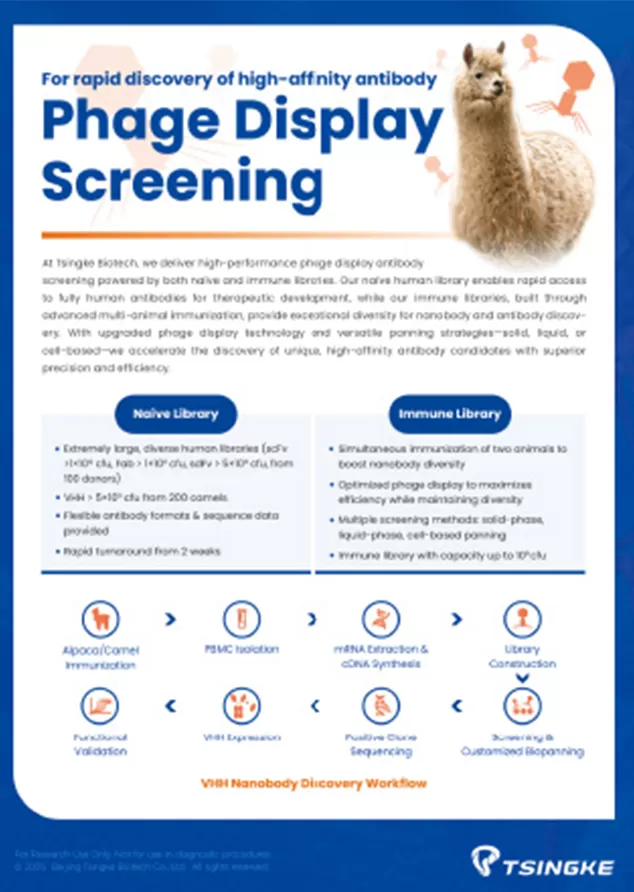 Tsingke Phage Display Screening Flyer