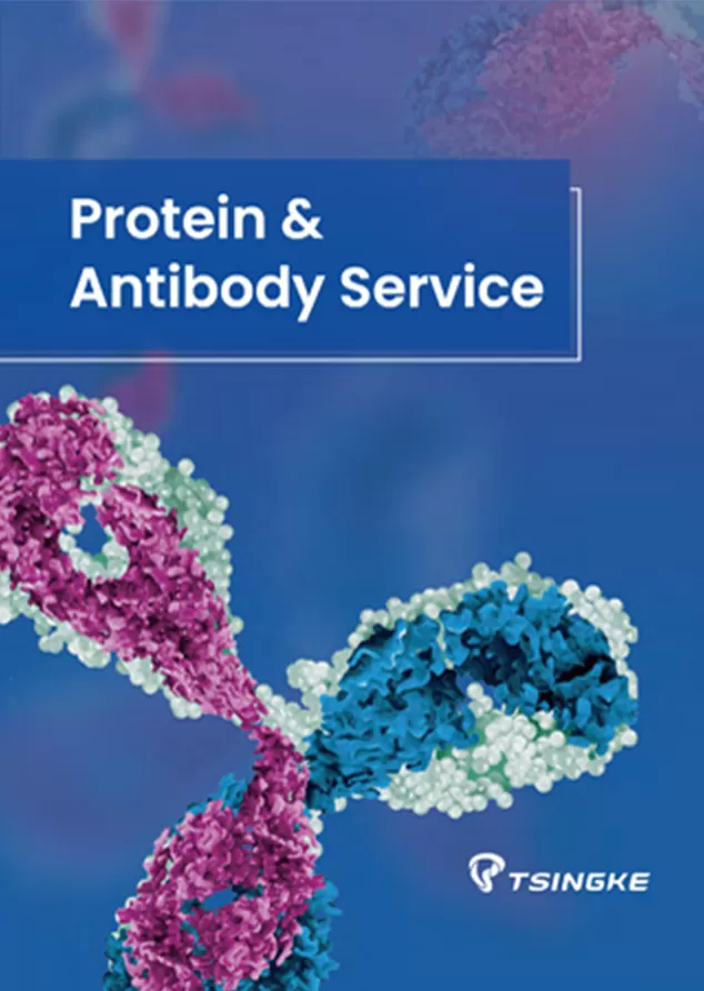 Tsingke Protein & Antibody Service Handbook