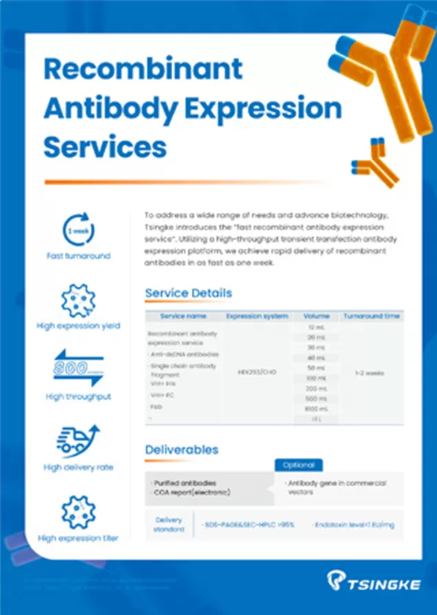 Tsingke Recombinant Antibody Flyer