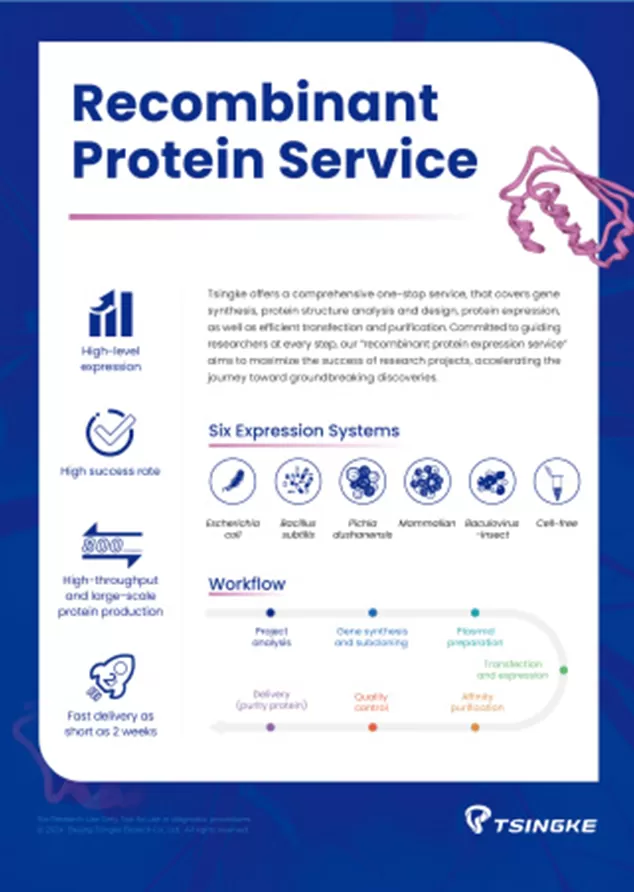 Tsingke Recombinant Protein Service Flyer