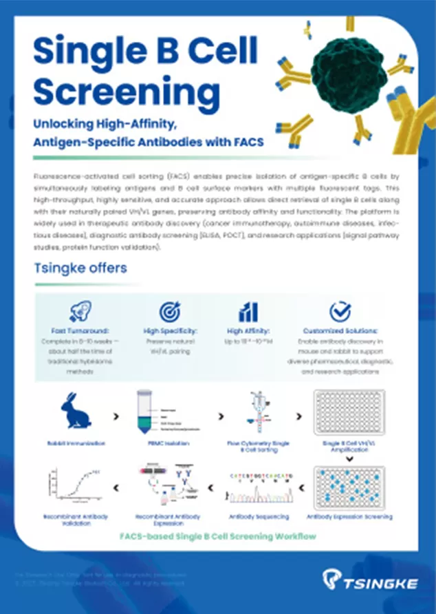 Tsingke Single B Cell Screening Flyer