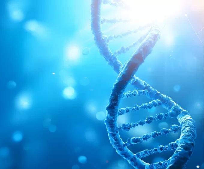 Tsynth Gene Synthesis