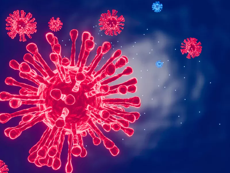 Vaccine Validation Tools