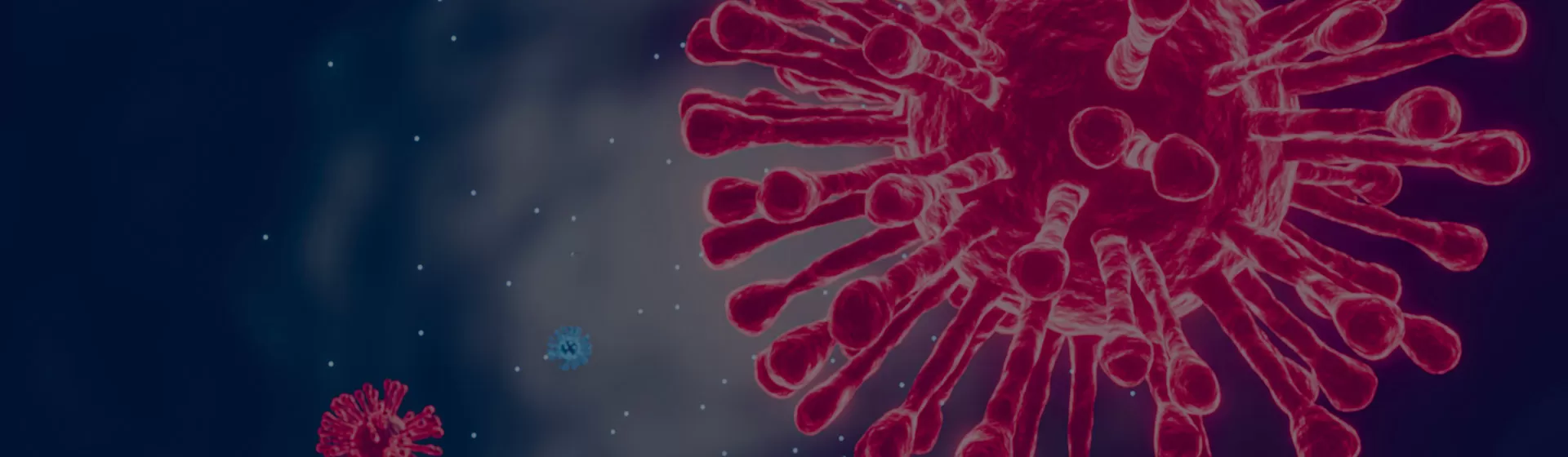 Vaccine Validation Tools