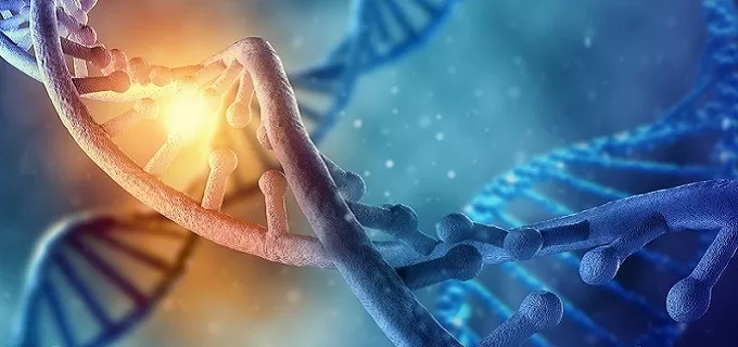 What Is Artificial DNA Synthesis?