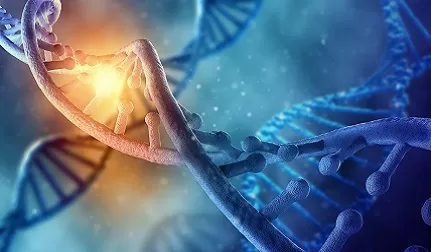 What Is Artificial DNA Synthesis?